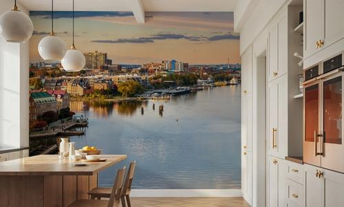 Potomac Views