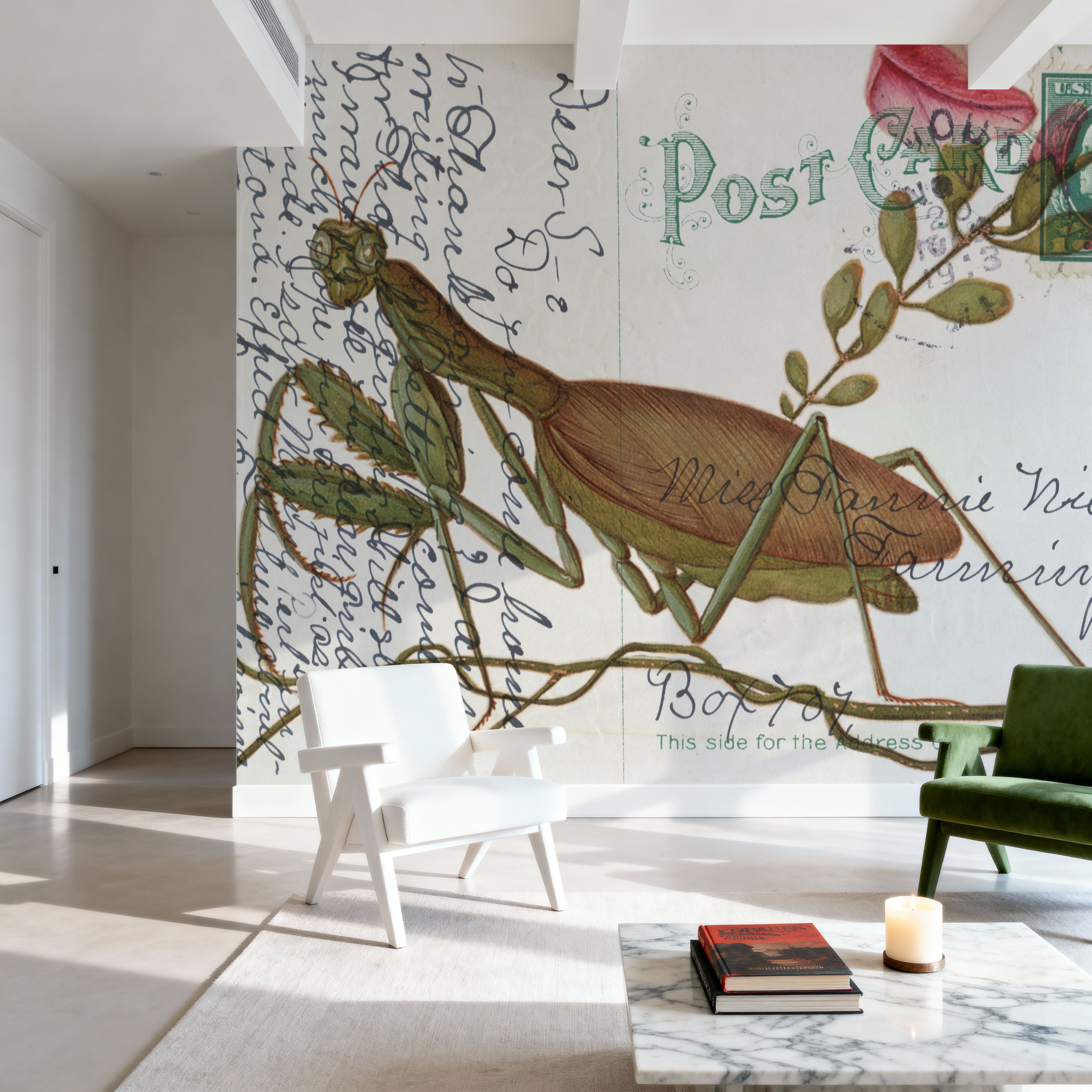 Praying Mantis Postcard