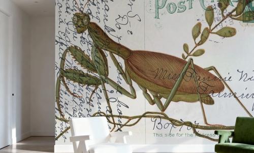 Praying Mantis Postcard