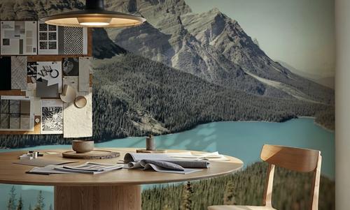 Peyto Lake