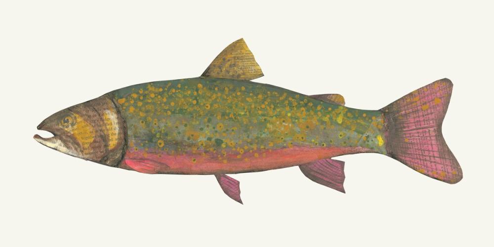 Angling in the Stream II