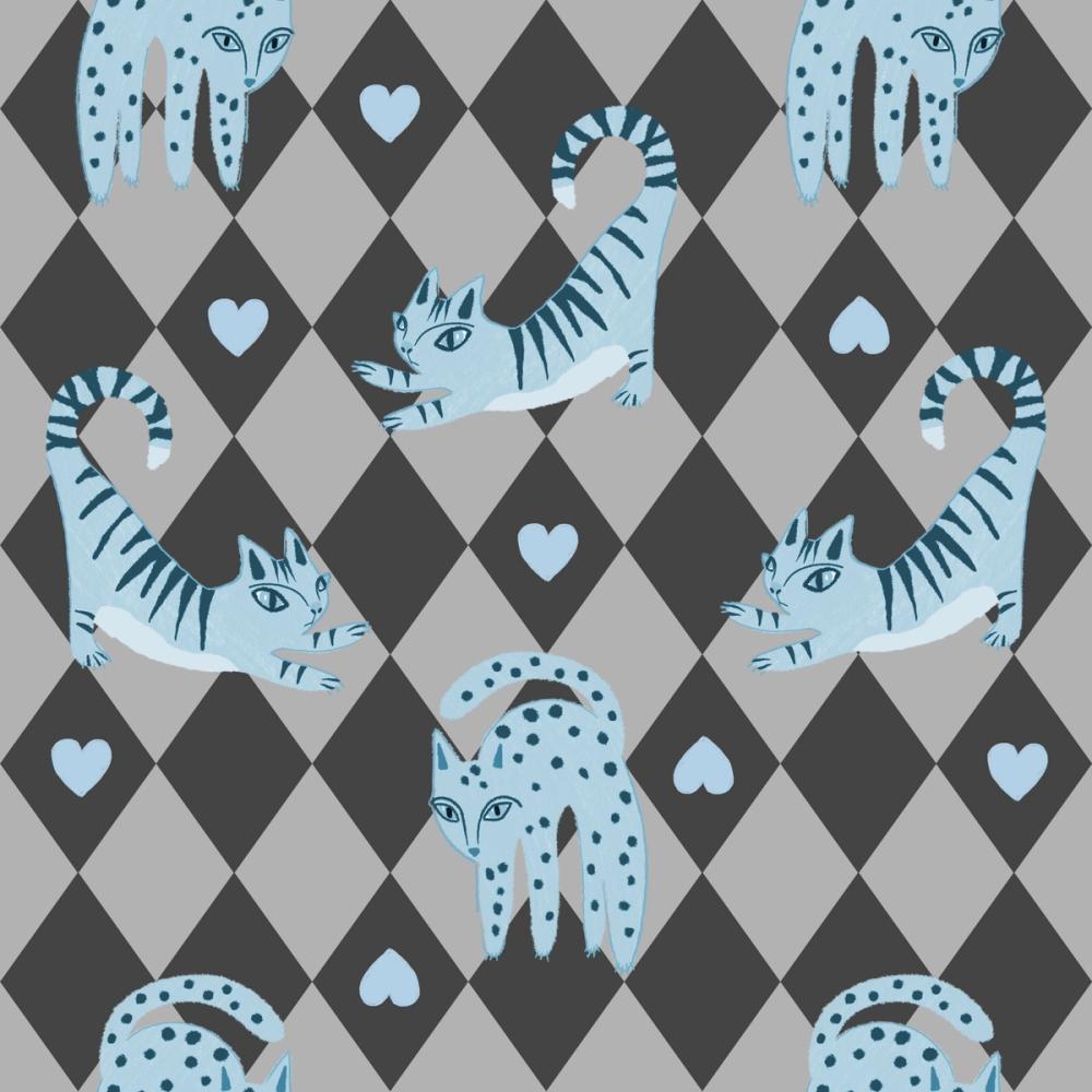 Harlequin Kittens, Baby Blue