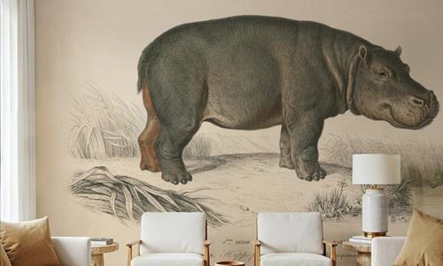 Animals of Africa I