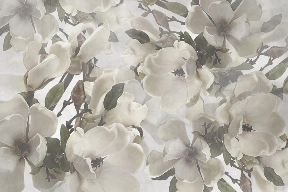 Dreaming of Magnolias Light Green