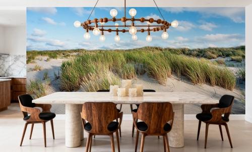 Beach Dunes