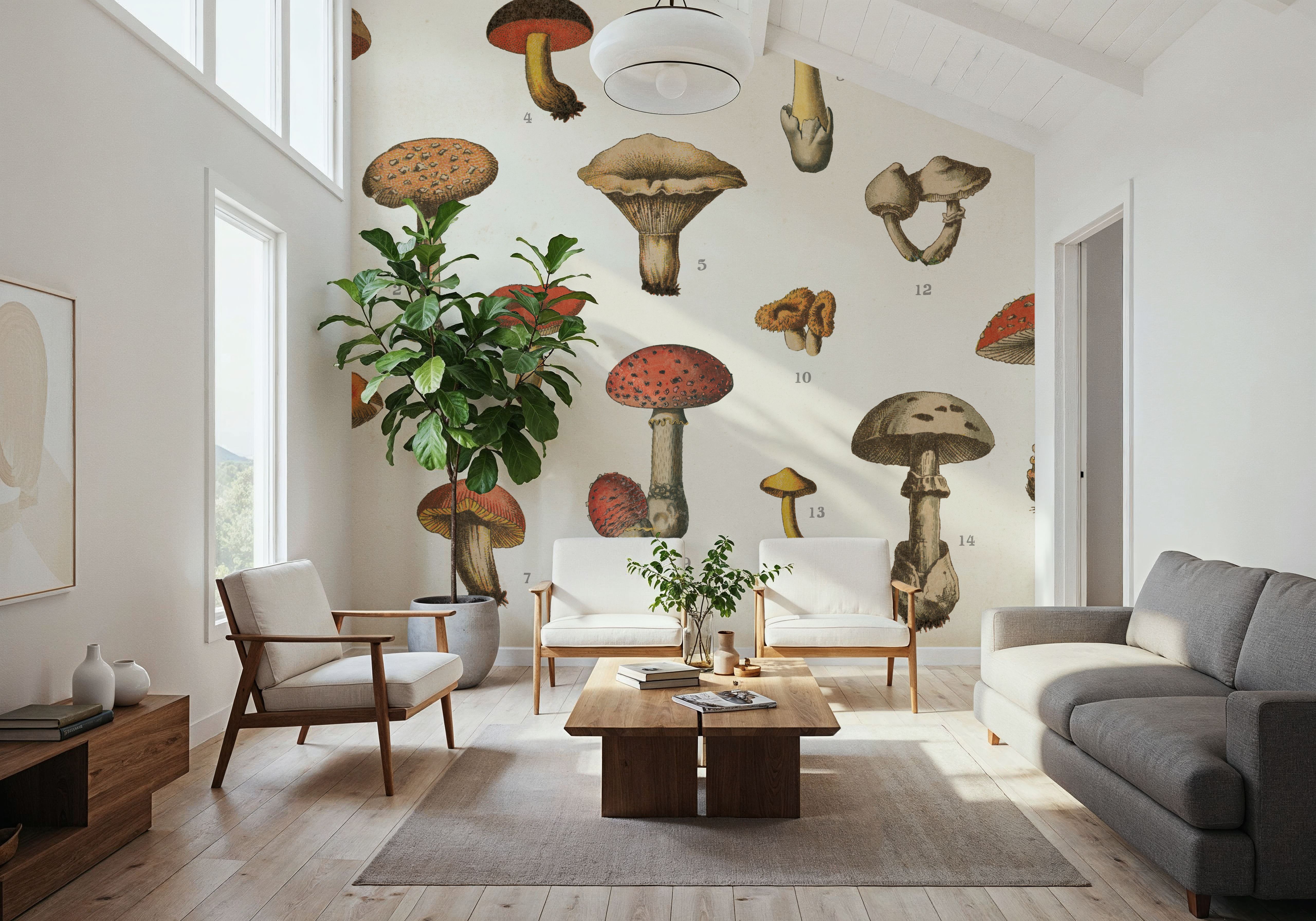 Mushroom Chart I light