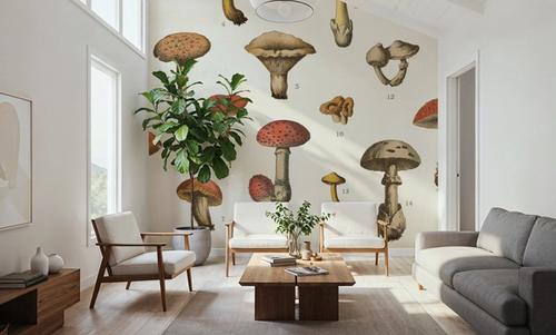 Mushroom Chart I light