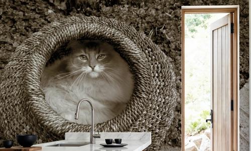 Cat In The Basket