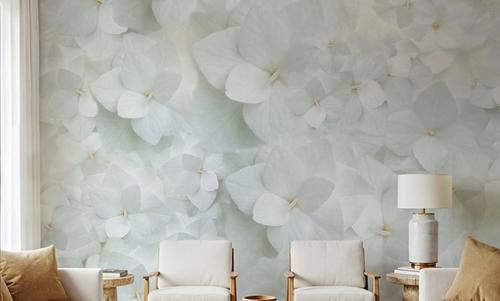 Hydrangea Whites