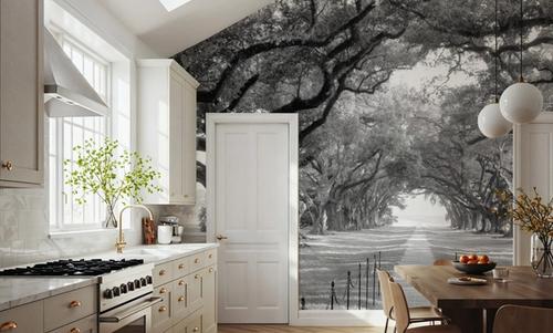 Timeless Oak Alley