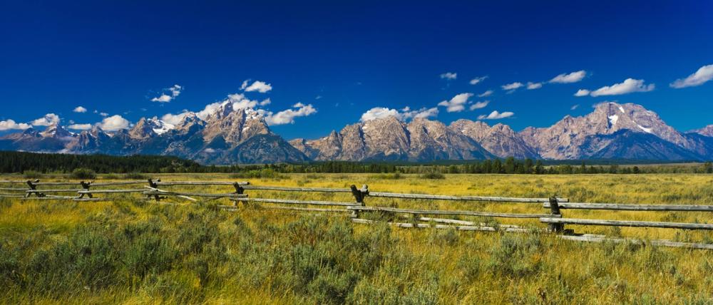 Grand Teton Range Field