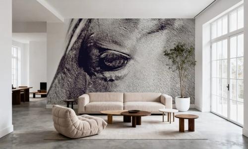 Horse Eye II