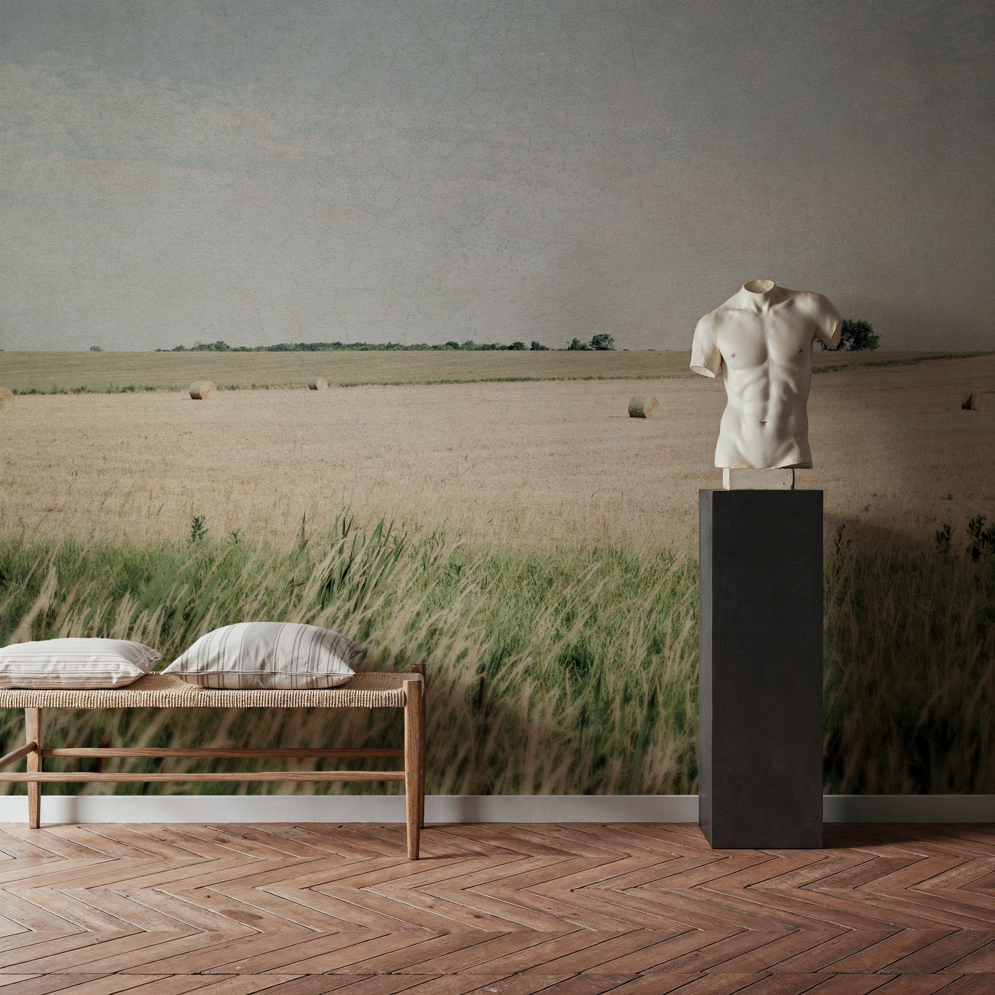 Neutral Country II