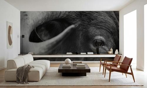Longhorn Watch BW