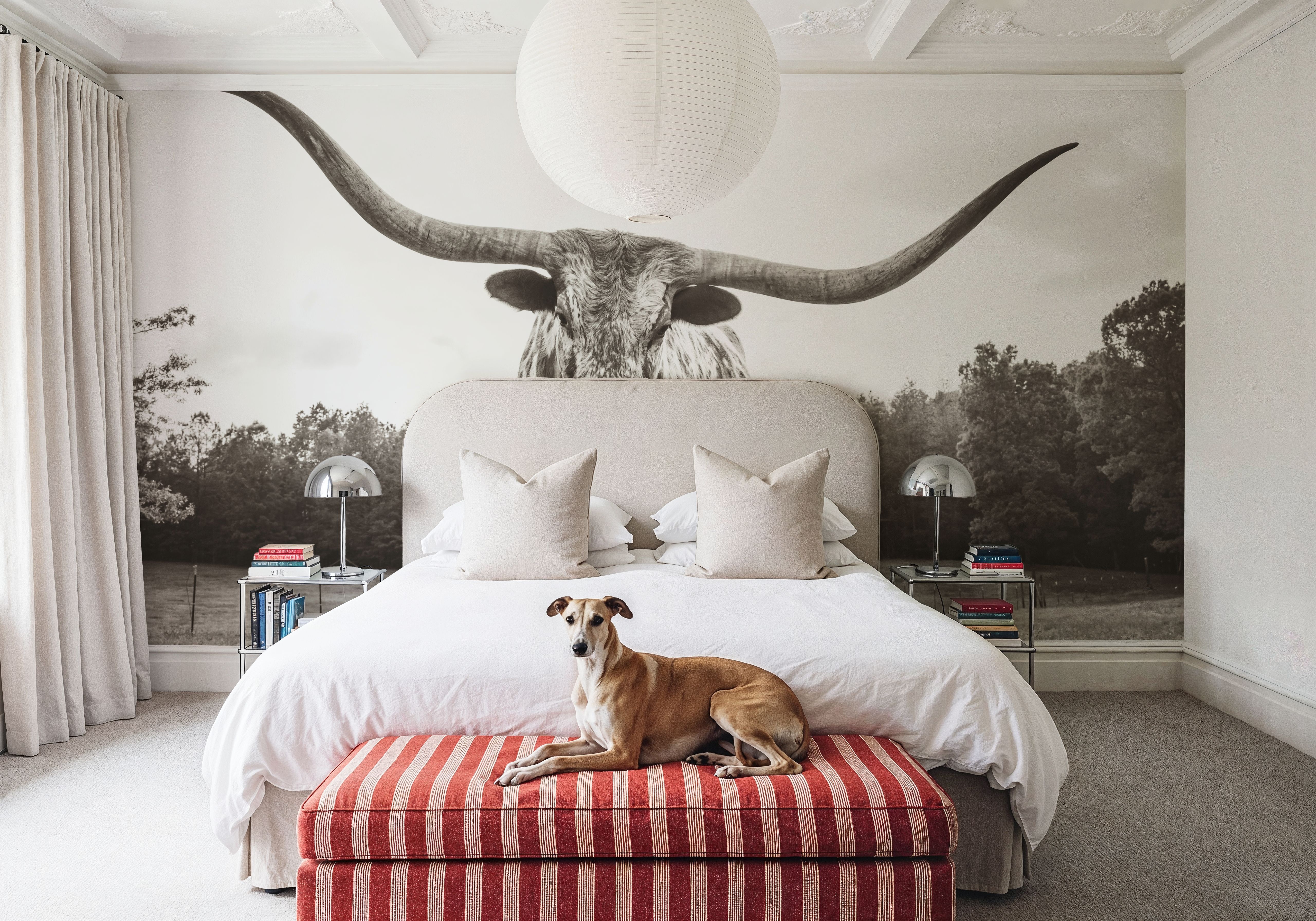 Longhorn Last Call BW No Tail