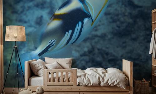 South Pacifish