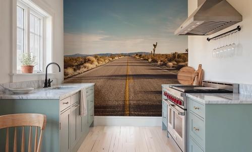 Joshua Tree Road
