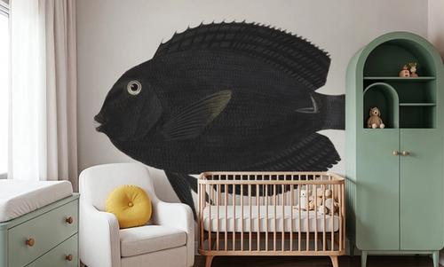 Black Surgeonfish