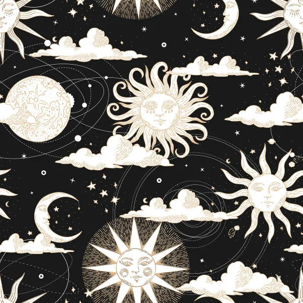 Sun Sign Black premium wallpaper | Shop tailored walls on wallism.com