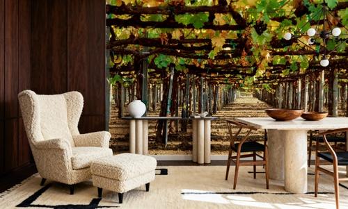 Vineyard Roofing
