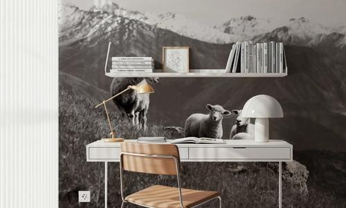 Wanaka Sheep I