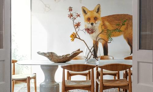 Red Fox IV