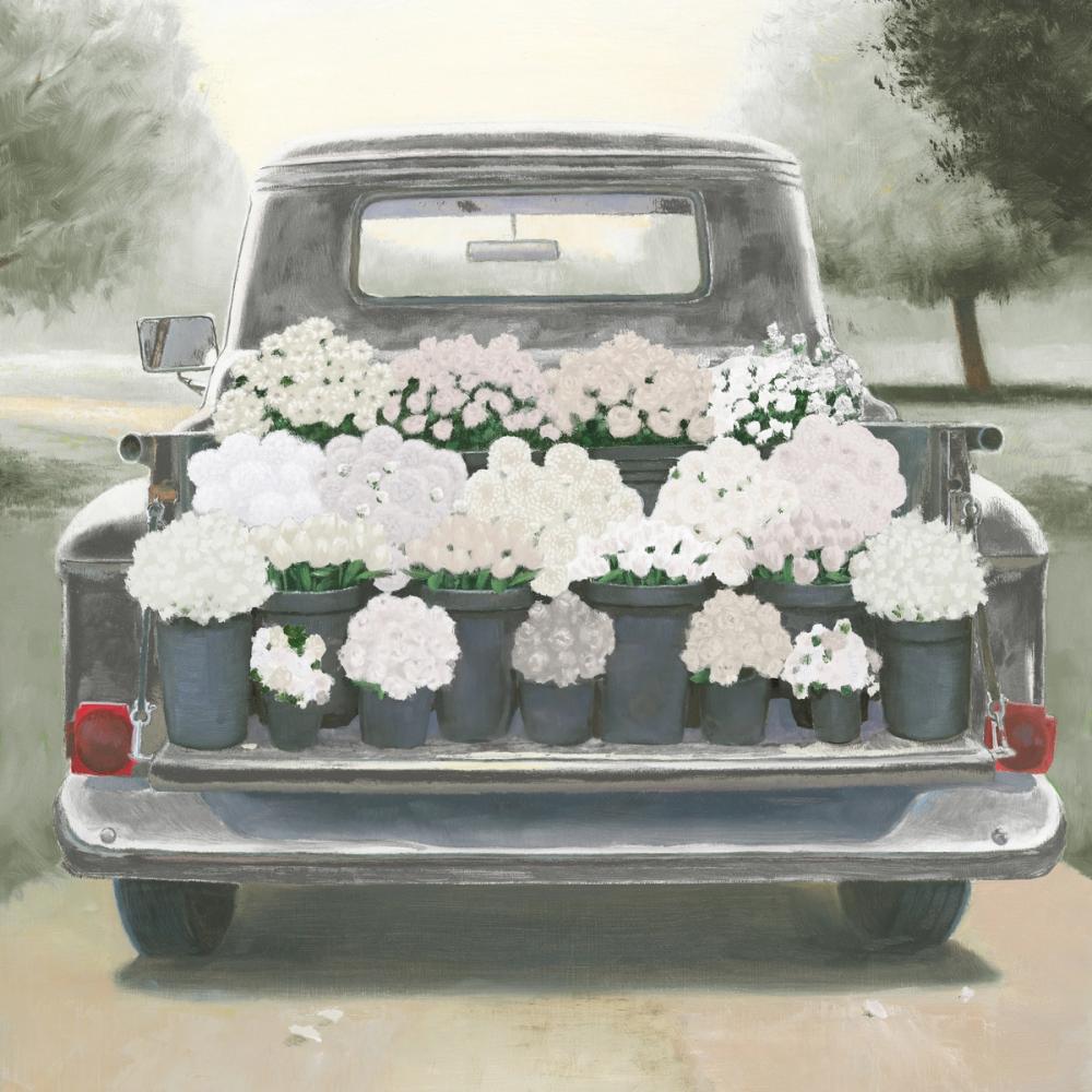 Beautiful Country III Gray White