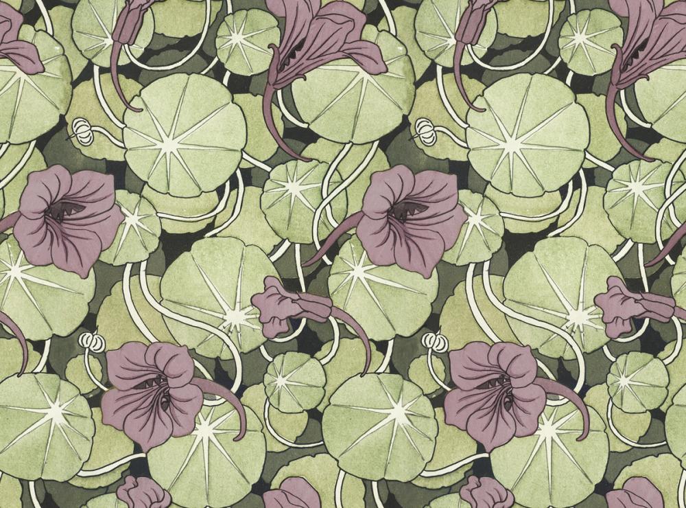 Nasturtium Verdure, Dusty Plum