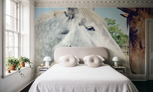 Two Horses