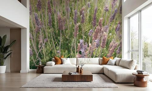 Secret Garden II