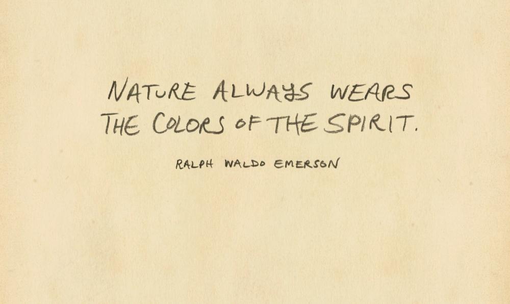 Outdoor Adventure VIII