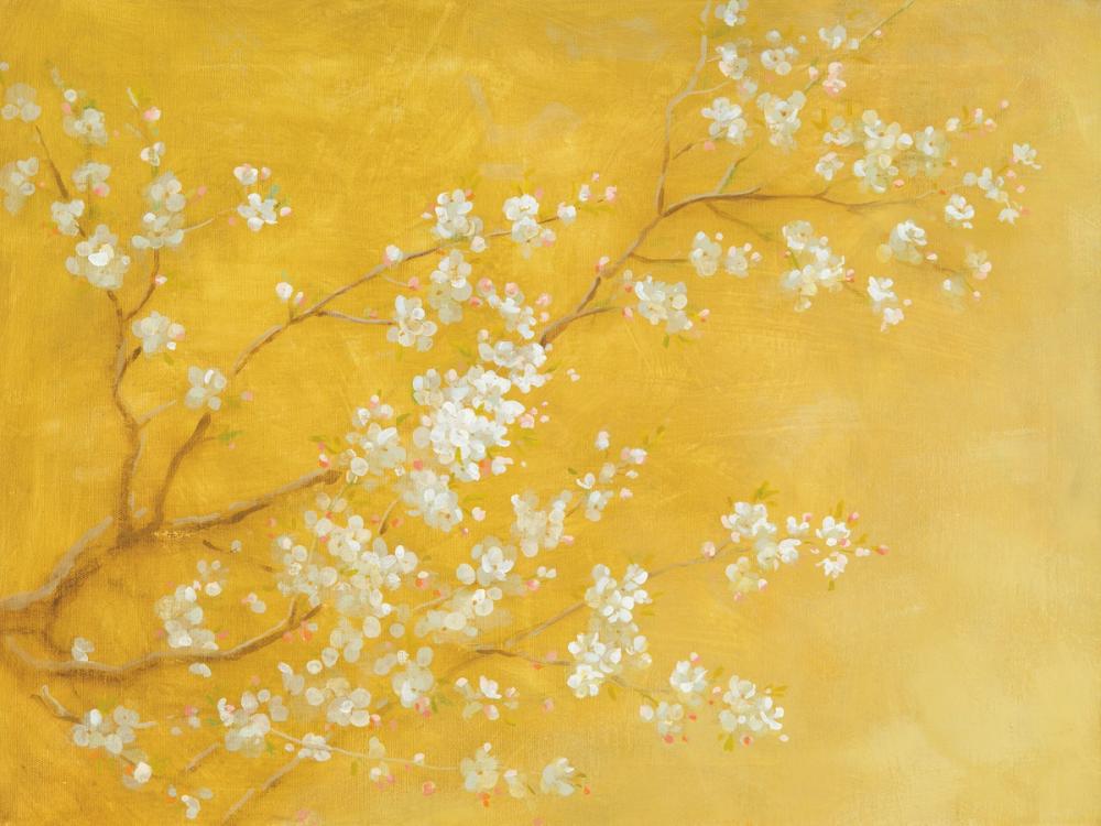 White Cherry Blossoms II