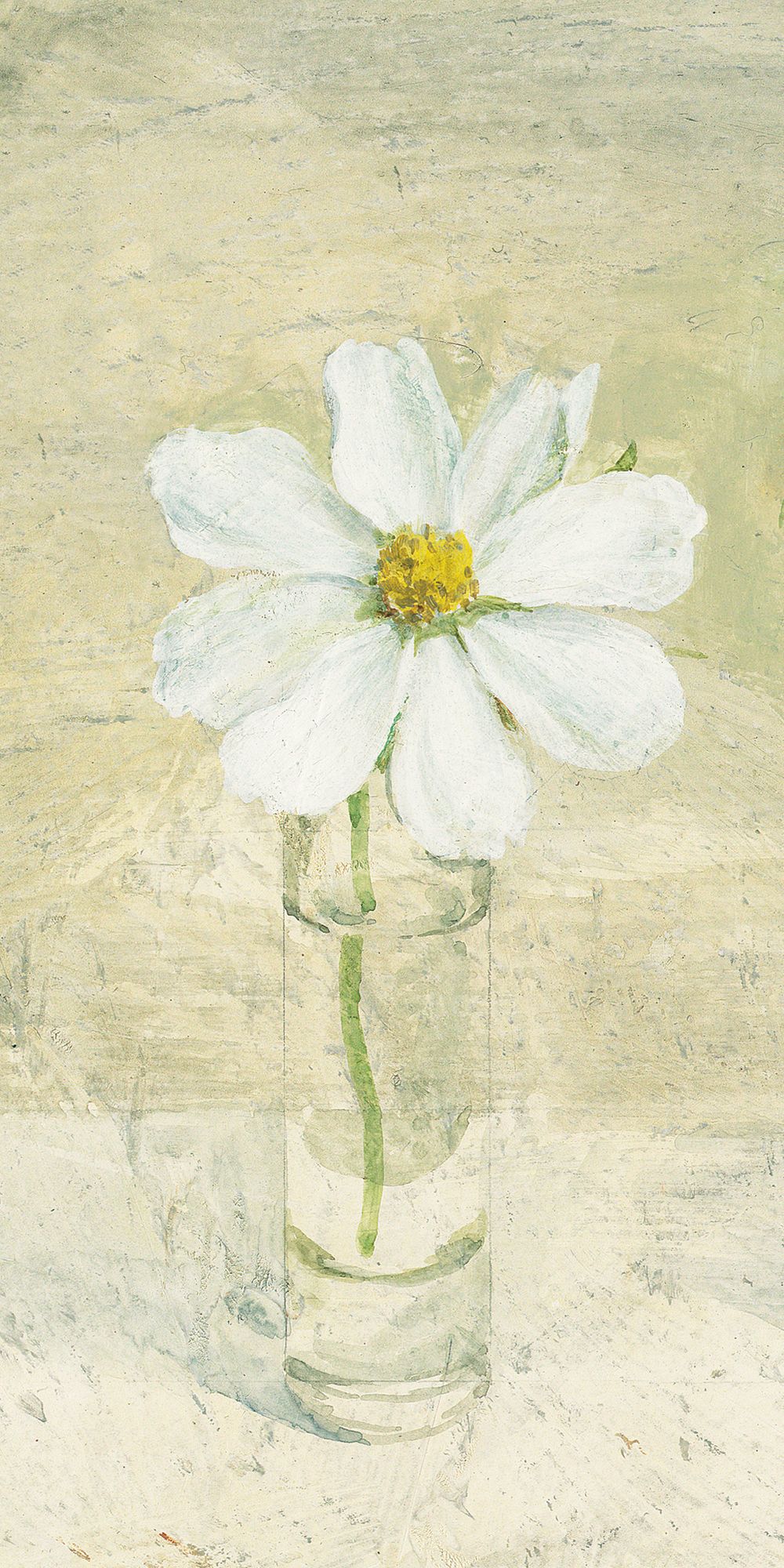 Cosmos in Glasses IV