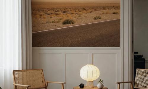 Desert Horizon Journey