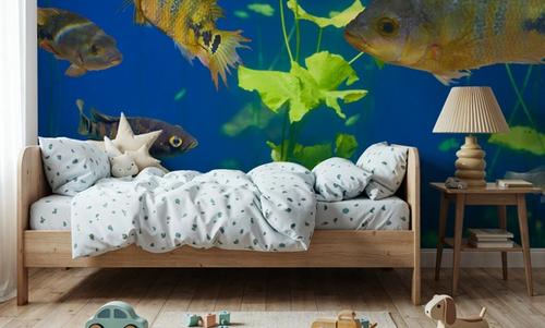 Ocean Friends