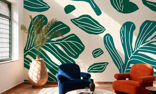 Monstera Cuttings, Green