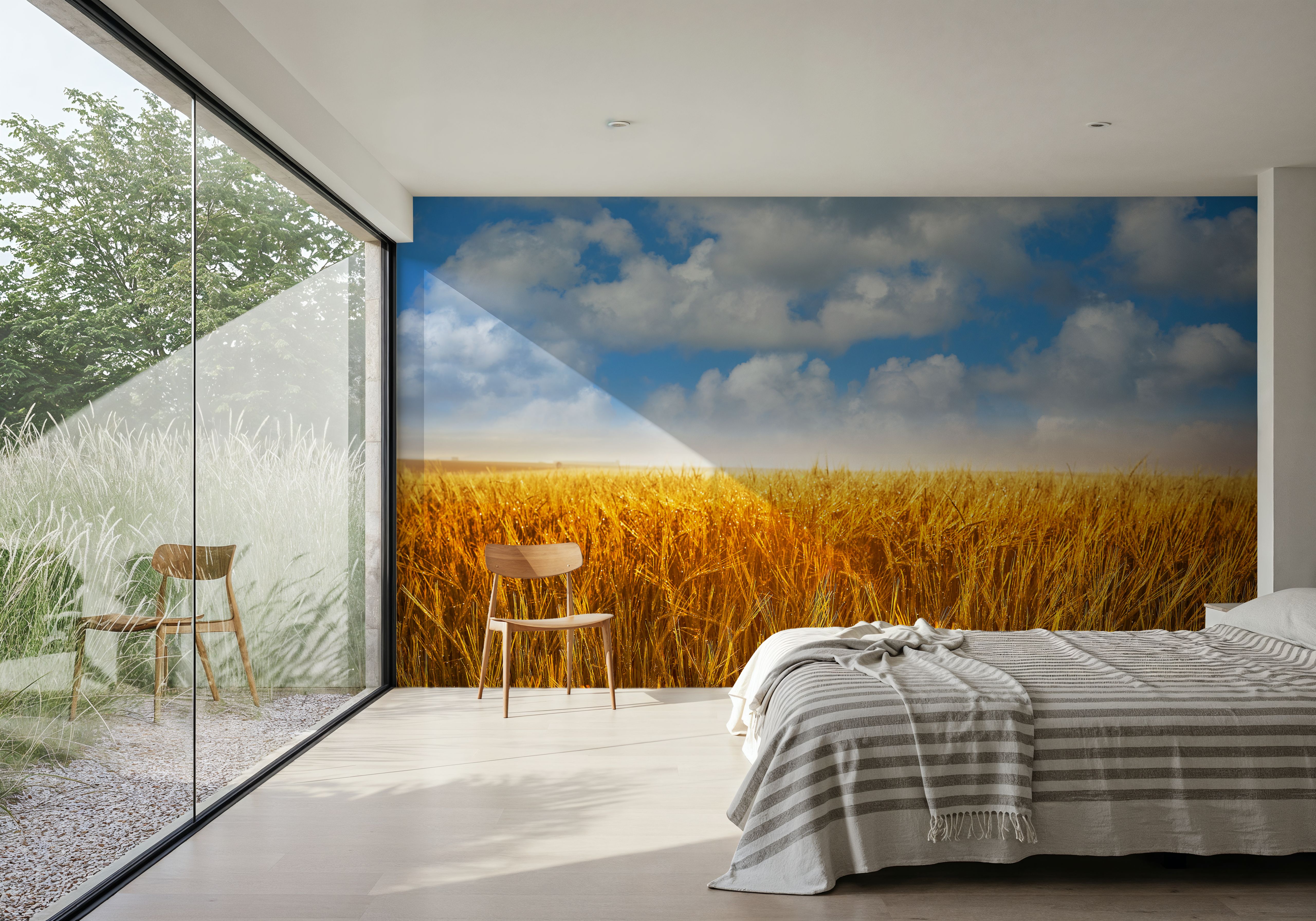 Amber Field Sky