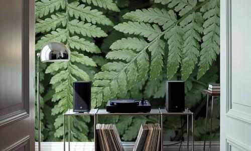 Pointy Ferns