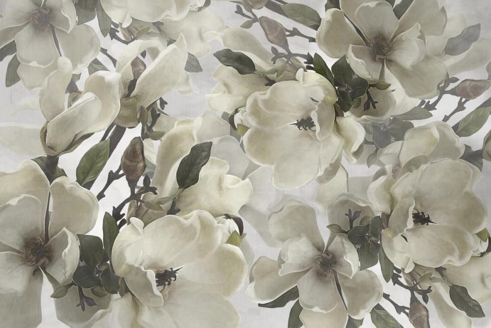 Dreaming Of Magnolias, Clean White