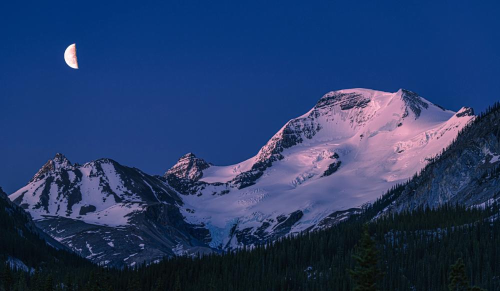 Mount Athabasca Moon
