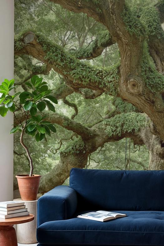 Angel Oak Tree