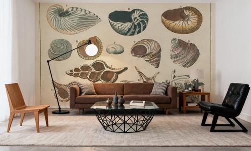 Shell Etchings I