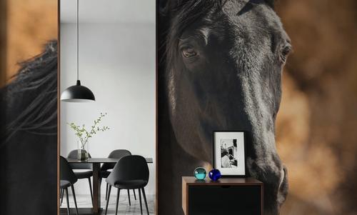 A Horse Called Utah
