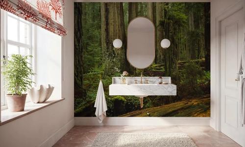 Mossy Haven