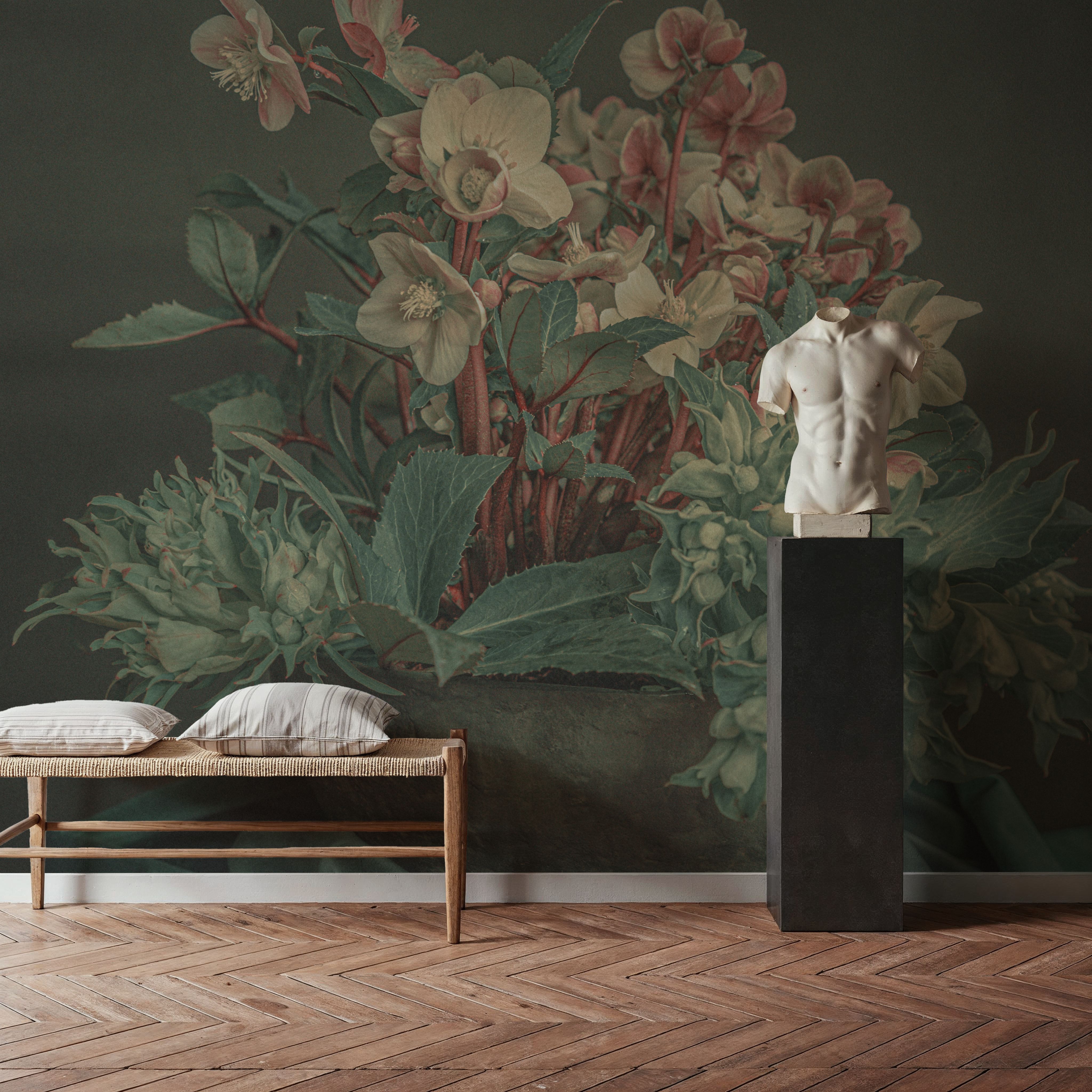 Delicate Winter Beauty