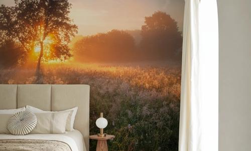 Misty Sunny Field