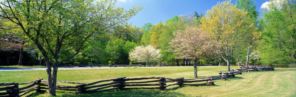 Davidson River Campground