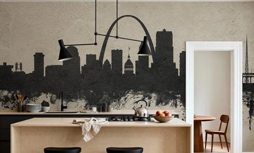 St Louis Missouri Skyline Concrete