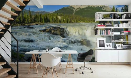 Athabasca River Falls