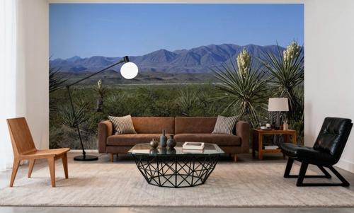 Desert Yucca Vista